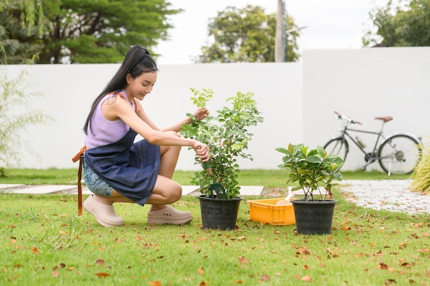 Photo young asian woman planting tree in the garden outdoors at home