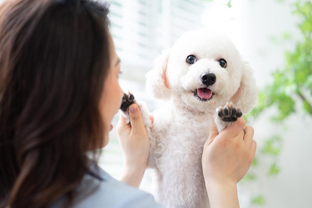 写真 家で犬と遊ぶ若いアジアの女性