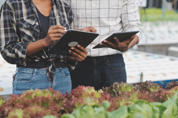 Photo young asian woman and senior man farmer working together in organic hydroponic salad vegetable farm modern vegetable garden owner using digital tablet inspect quality of lettuce in greenhouse garden