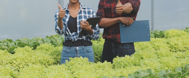有機水耕サラダ野菜農場で一緒に働く若いアジア人女性と年配の男性農家デジタルタブレットを使用した現代の菜園所有者が温室庭のレタスの品質を検査する
