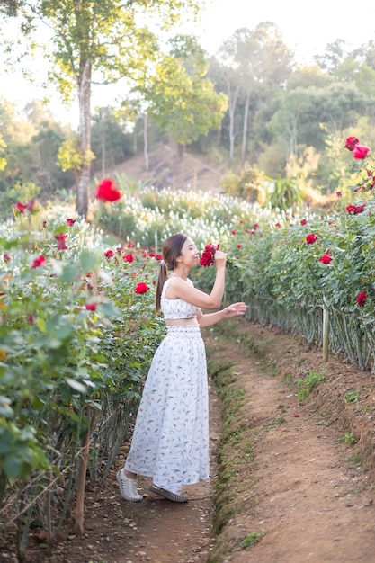 Young Asian woman wearing a white dress poses with a rose in rose garden