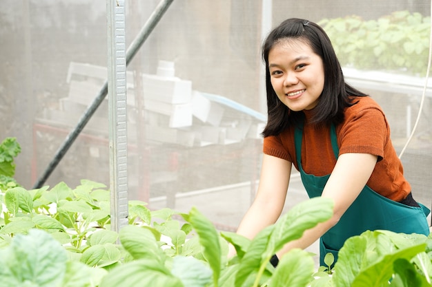 若いアジアの女性農夫は水耕栽培野菜の世話をします