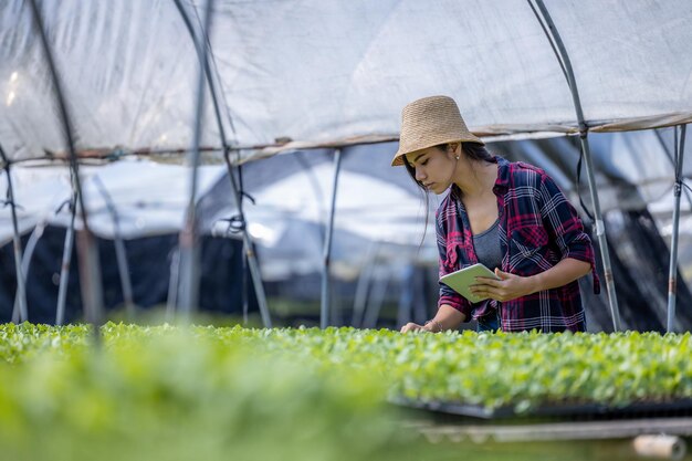 Photo young asian women smart farmer using tablet management agriculture vegetable with smart technology