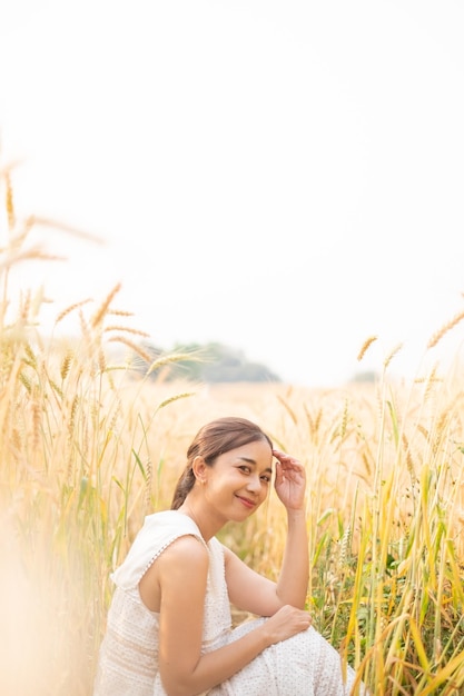 보리 논에 앉아 흰 드레스를 입은 젊은 아시아 여성