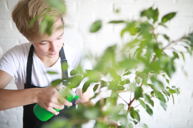 若いアジアの若者が屋内植物の世話をしますxA