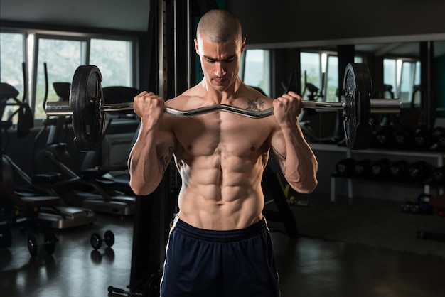 Young Athlete In The Gym Performing Biceps Curls With A Barbell