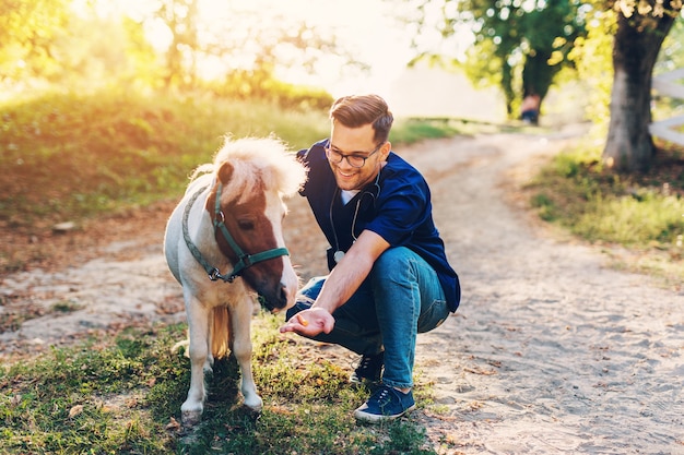 Young attractive male veterinarian examining and feeding adorable little pony horse.