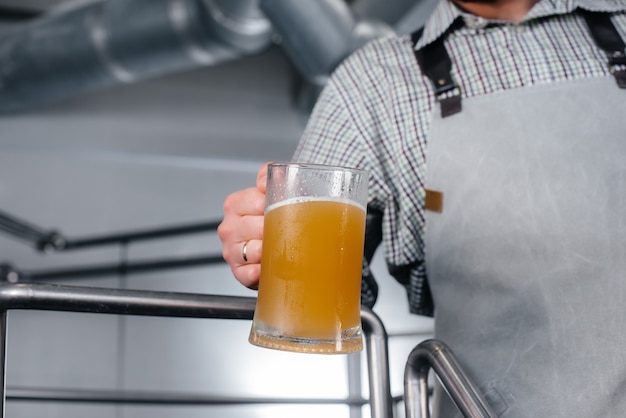 Молодой бородатый пивовар проводит контроль качества свежесваренного пива на пивоварне.