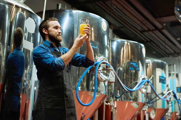 Молодой бородатый мастер пивоварни с бокалом пива в руке, оценивая его визуальные характеристики после приготовления во время работы на заводе по переработке