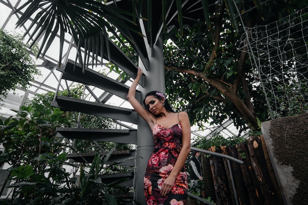 A young beautiful brunette poses near a spiral staircase in the Botanical garden among the dense thickets of the tropic forest. Spa