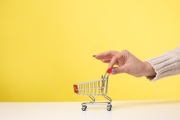 A young beautiful curly redhaired girl holds a food cart in her hands shopping concept