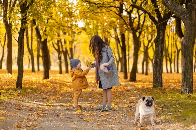 Young beautiful mother spends time on a walk with her beloved little son in the autumn park. Happy family enjoy autumn days
