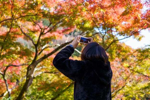 Фото Молодой красивый фотограф с профессиональной камерой фотографирует красивый осенний красочный кленовый лист в киото, япония