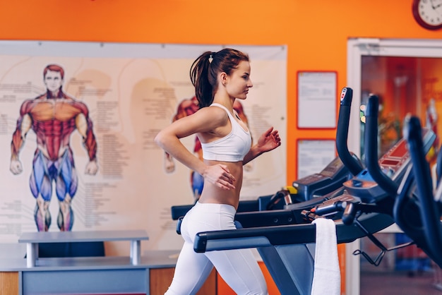 Young beautiful sporty woman doing workouts in a gym.