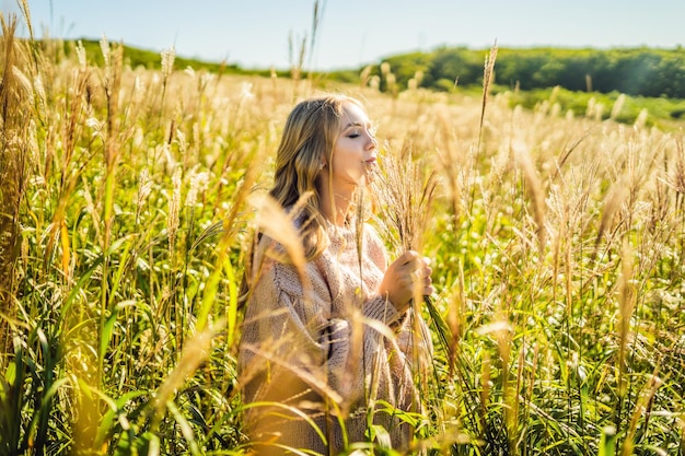 Young beautiful woman in autumn landscape with dry flowers, wheat spikes. Fashion autumn, winter. Sunny autumn, Cozy autumn sweater. fashion photo.