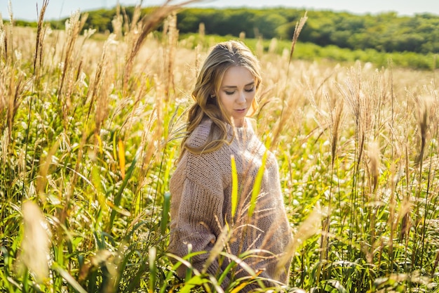 Young beautiful woman in autumn landscape with dry flowers wheat spikes Fashion autumn winter Sunny autumn Cozy autumn sweater fashion photo