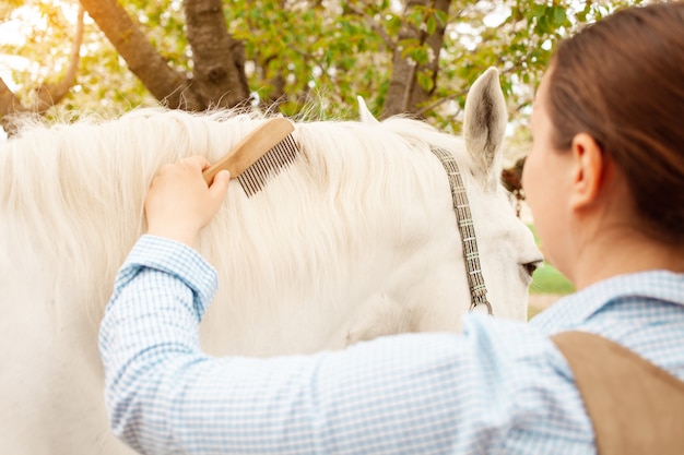 Una giovane bella donna pettina i peli del cavallo