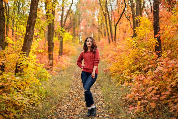 Giovane bella donna nello sweather tricottato rosso che cammina nel parco di autunno con le foglie gialle e rosse