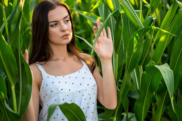 Foto giovane bellissima donna in abito bianco nel campo di mais