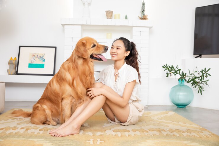 젊은 미녀와 골든 리트리버는 함께 행복합니다