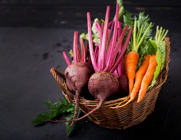 Young beetroot and carrots with a tops in a basket on a dark table.