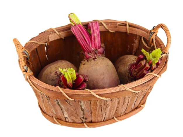 Young beets on basket isolated on white