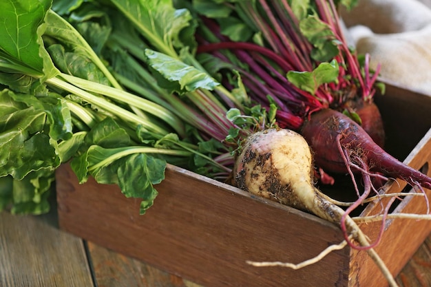 Young beets in wooden box