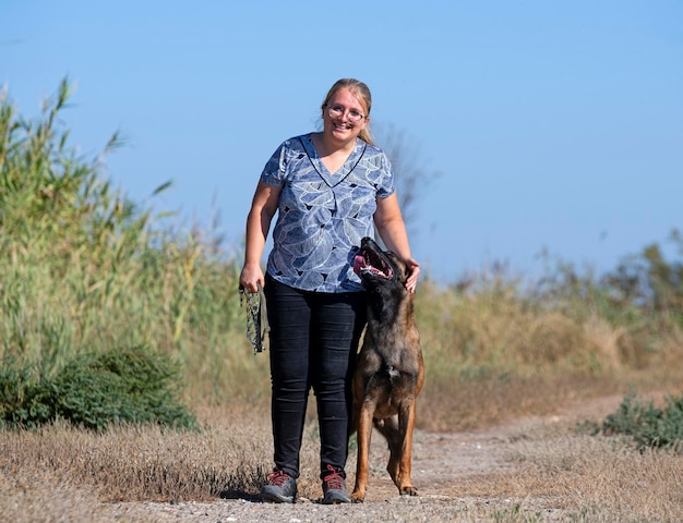 young belgian shepherd walking in the nature