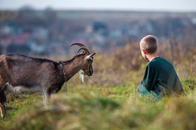 Young blond cute handsome smiling child boy playing with horned bearded goat outdoors on bright sunny summer.