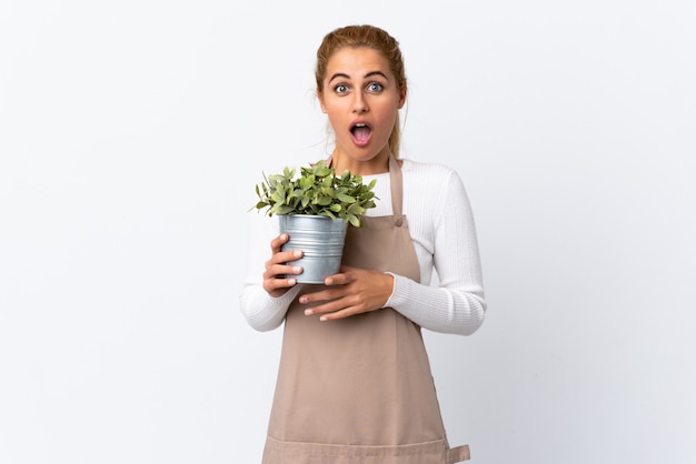 Young blonde gardener woman girl holding a plant over isolated white wall with surprise facial expression