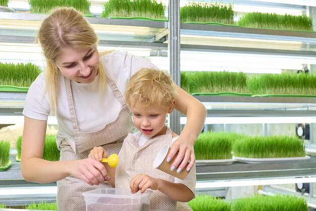 Young blonde and a little boy in identical aprons are packing seeds on a microgreenery farm