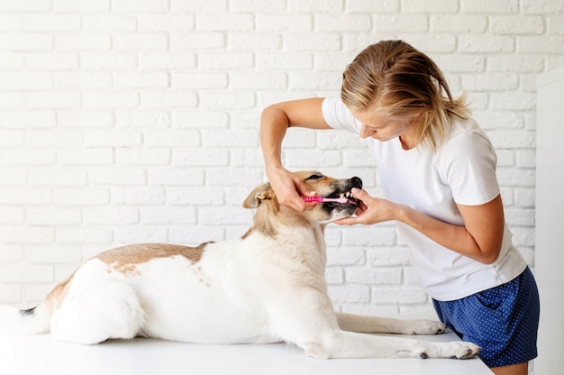 犬の歯を磨く若いブロンドの女性