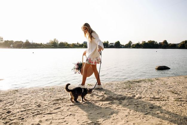 Young blonde woman girl walking on the beach in spring in a dress and white sweater with a Scottish straight cat on a sunny day