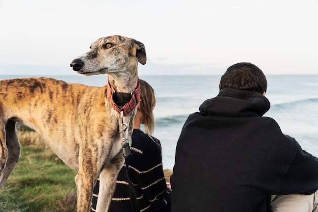 Young blonde woman and her boyfriend and her greyhound on the shore