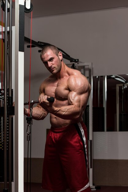 Young Bodybuilder Doing Heavy Weight Exercise For Biceps