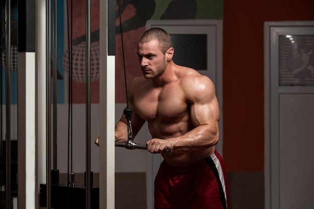 Young Bodybuilder Doing Heavy Weight Exercise For Triceps