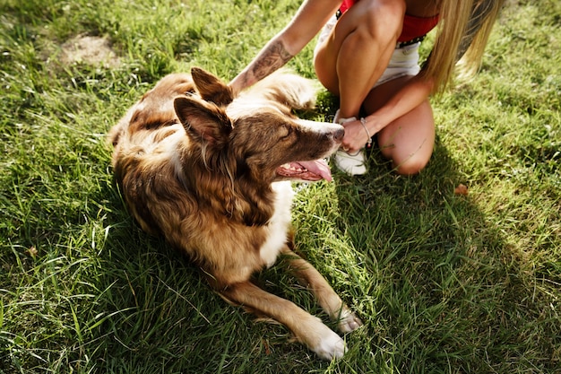 公園でひもにつないで若いボーダーコリー犬