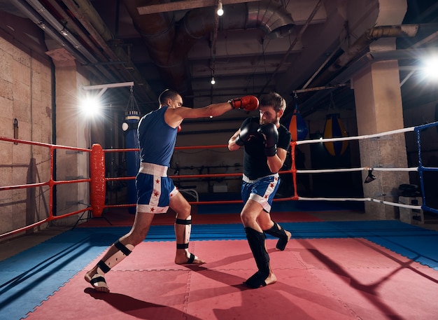 Giovani pugili che si allenano sul ring