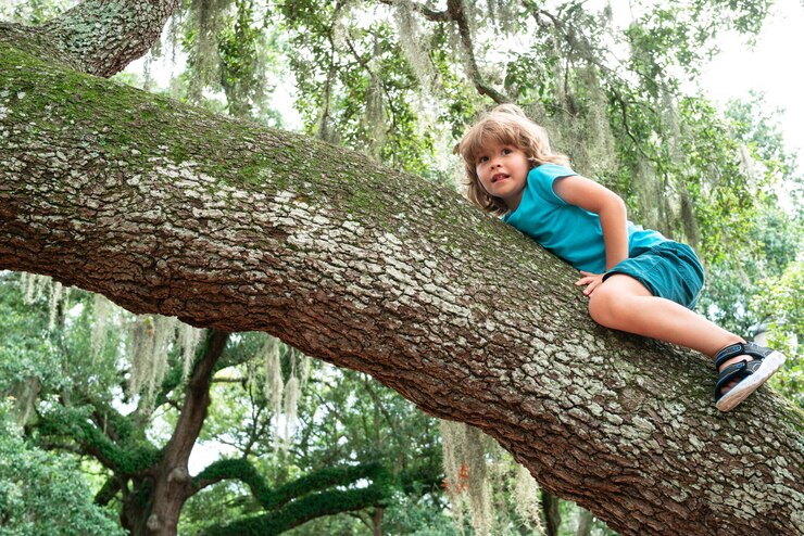 Young boy child climbs a tree cute kids boy climbing in park