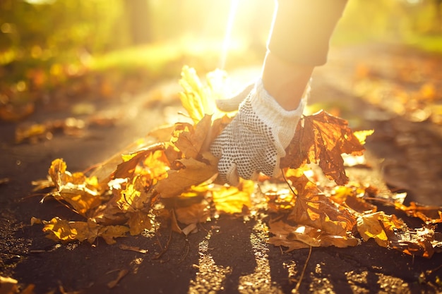 Young boy cleans fallen leaves Concept of purity autumn leaves Outdoor Gloves on his hands