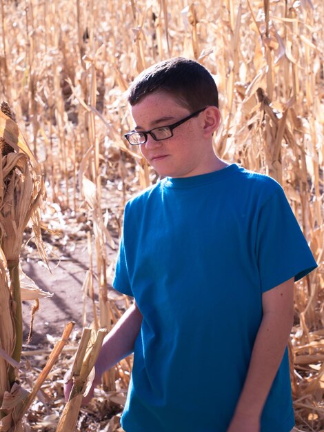 Young boy in cornfield maze.