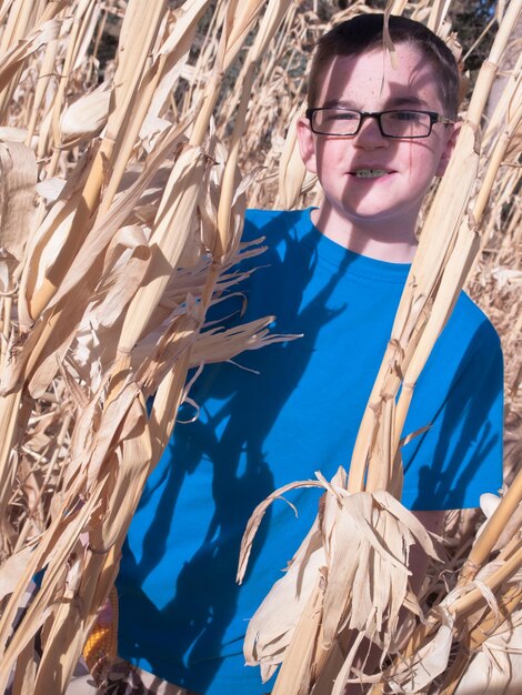 Young boy in cornfield maze.