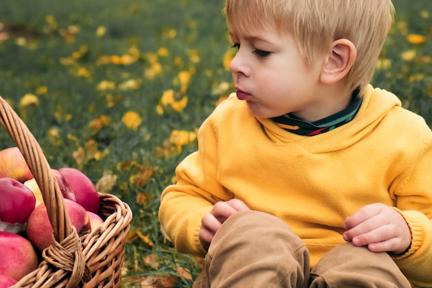 a young boy is sitting in a field with a basket of apples.