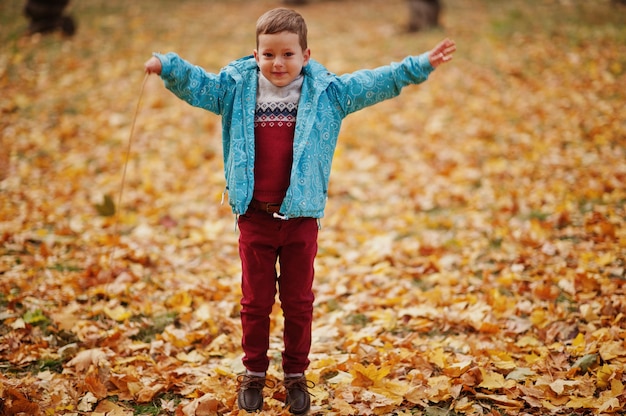 Young boy jumping and having fun at autumn park.