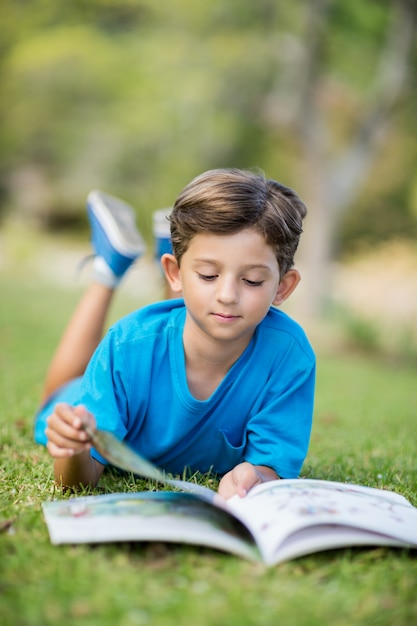 Young boy reading book in park