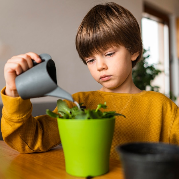 Мальчик поливает растение в горшке