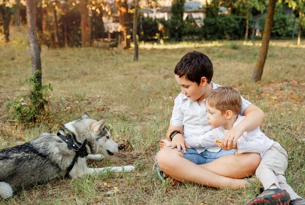 Giovani ragazzi che abbracciano amorevolmente il suo cane al tramonto. medicina veterinaria