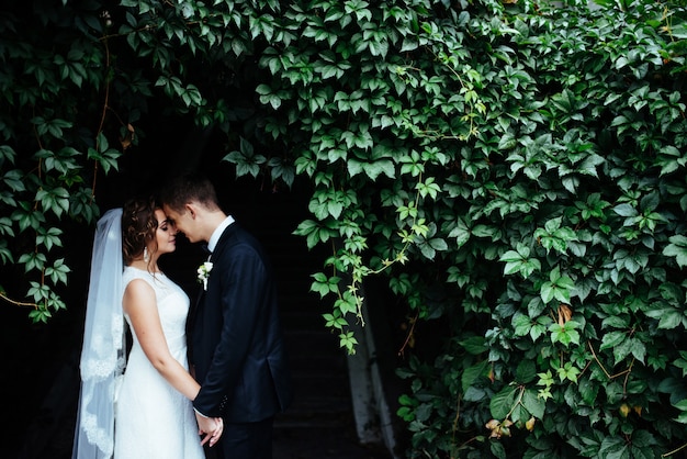 Young bride hugging her groom in beautiful park.