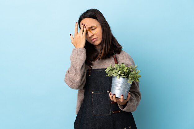 頭痛のある孤立した青い背景の上に植物を保持している若いブルネット混血の女性。