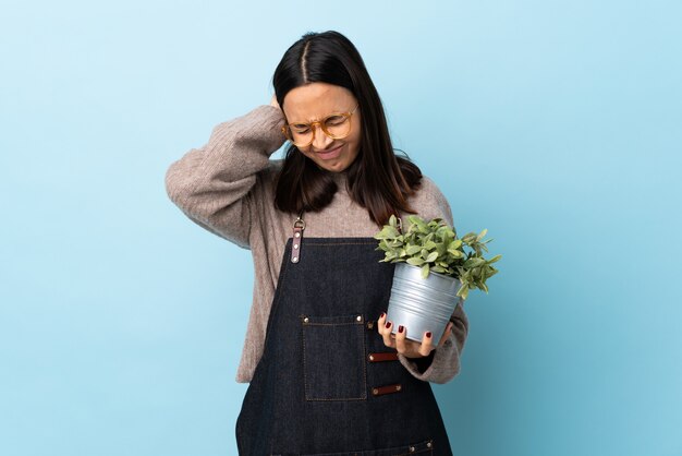 Young brunette mixed race woman holding a plant on isolated blue frustrated and coning ears